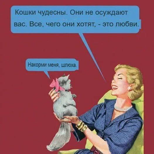 Poshlye-memy-i-chernyj-jumor-18-podborka-173-11