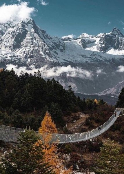 PB4zKZvnz32TWKUviUJJFzqmX1c0DuflSlQ3bk7EKsfwrGhWViUxPFF7 1D