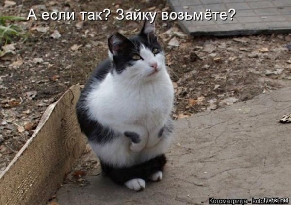 ))