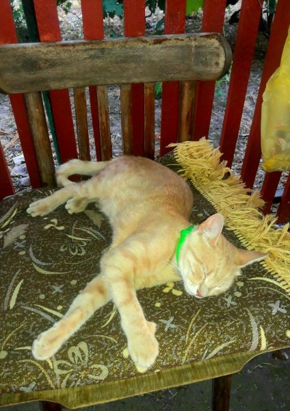 IMG 20240726 192152 495