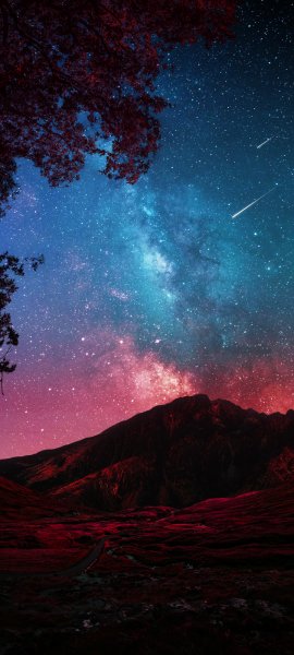 Android Wallpaper (240)