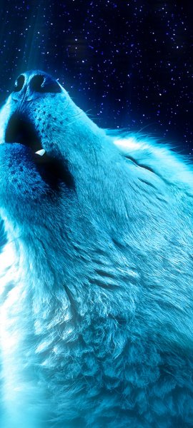 Android Wallpaper (664)