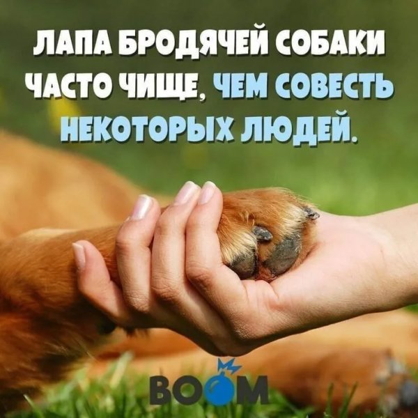 IMG 20260114 052703
