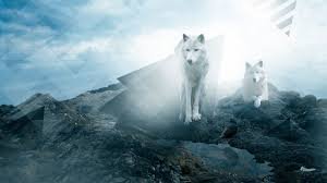 images-9