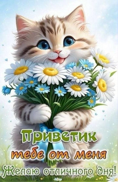 IMG-20250306-WA0006