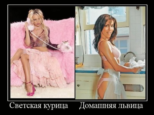 svetskaya-kuritsa-domashnyaya-lvitsa-001