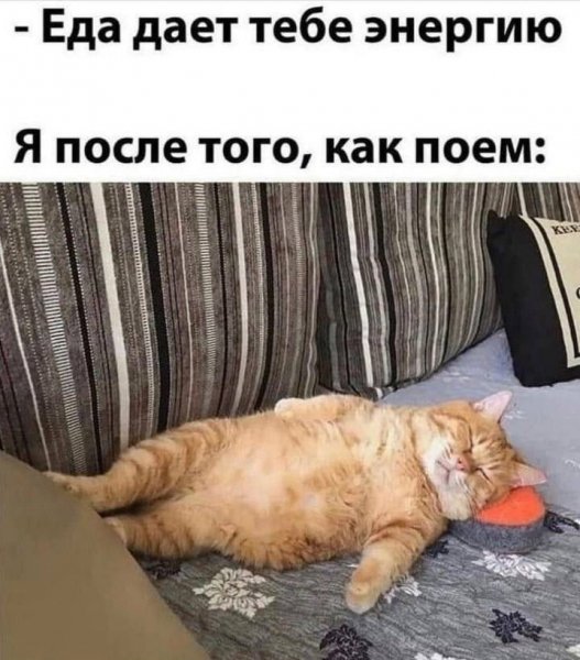 Высыпальника