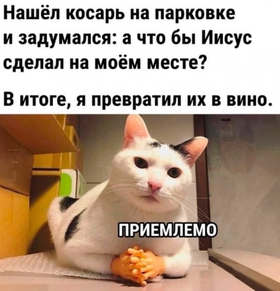 IMG 20250901 160212 390