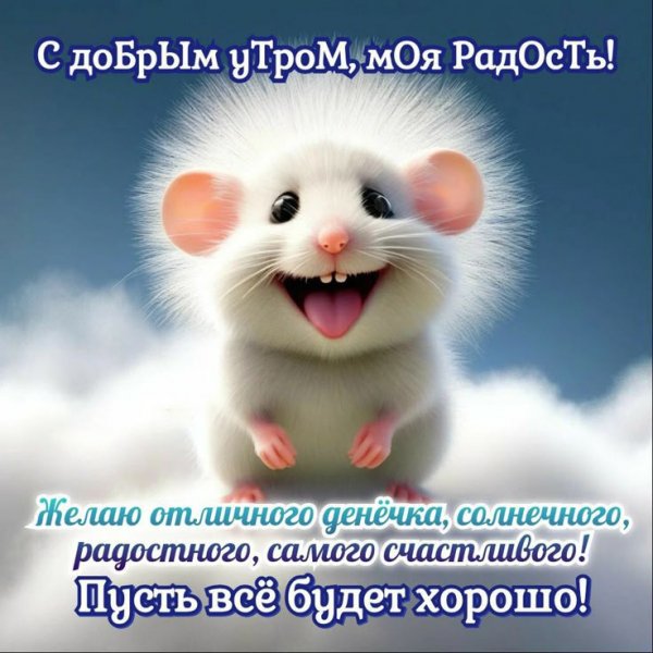 C02936fcd81341f6611fddcae522c65c
