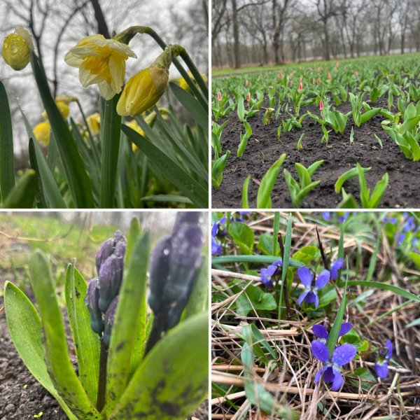 IMG 20230402 115431 490