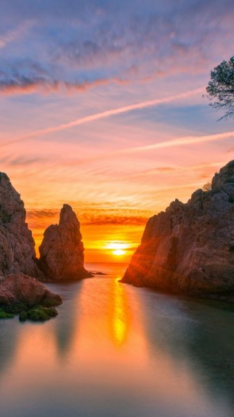 Screenshot 20260203-130531 One UI Home