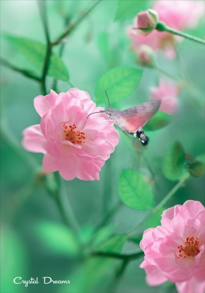 b9e6e407f08bb2ae72981f37293a3