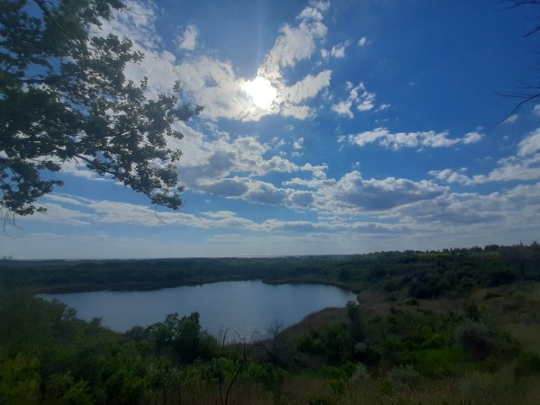picture_319778760