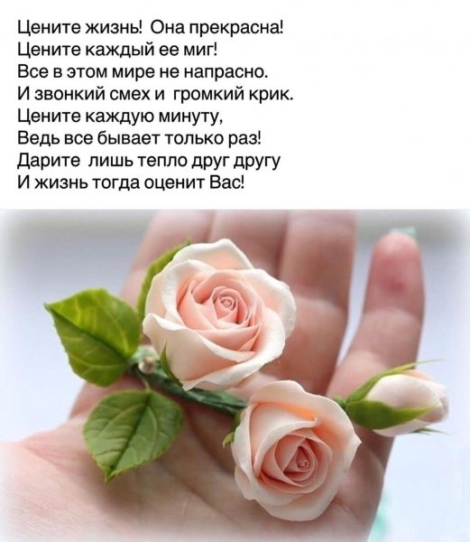 marinaalekminskaya 20201112 10