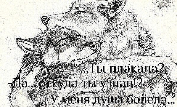 image(4)