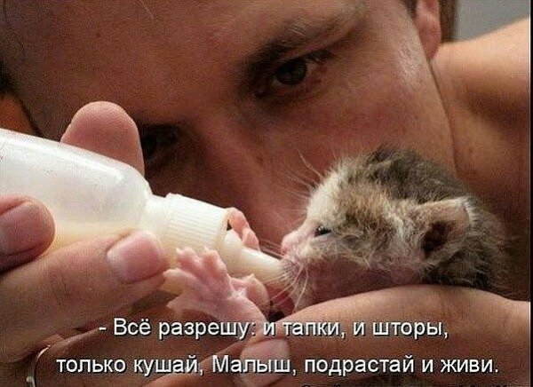 image(136)
