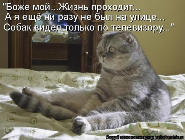 Жизнь проходит...
