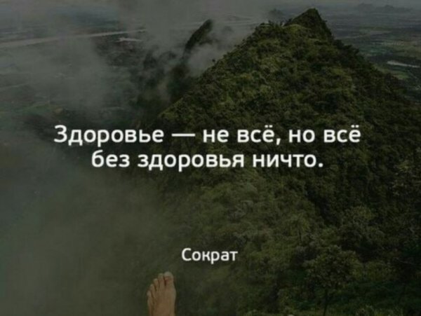 2ZefzV0-bak