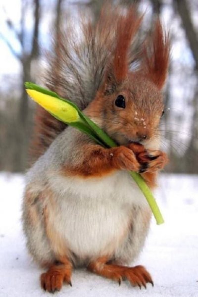 IMG-f946066ab012ca49aacb8288d226bcdf-V