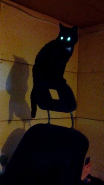 IMG 20151007 190848 1CS