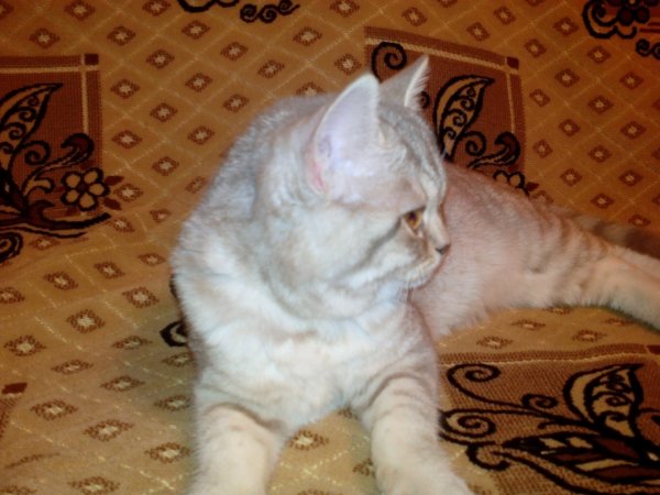 IMG 20141126 211244