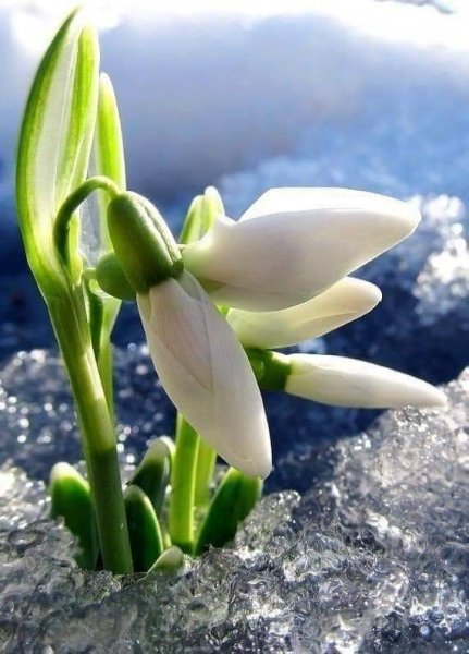 FB IMG 1610416082125