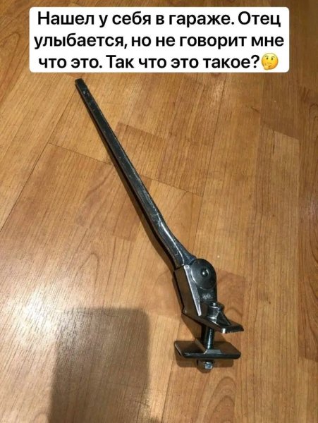 FB IMG 17037536626448219