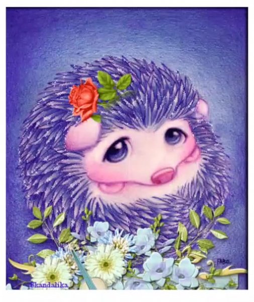 krasivie otkritki s yezhikami insta