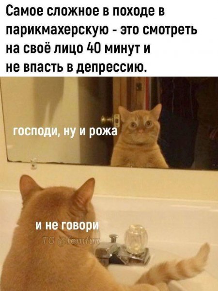 IMG 20250321 174149 709