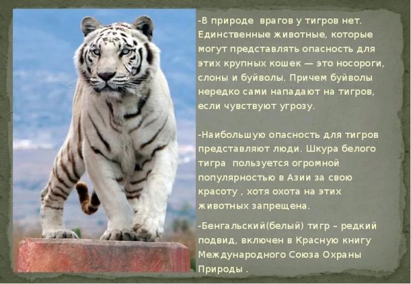 Это интересно