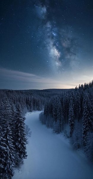 Арт Природа