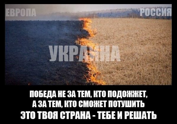IMG 20211118 080721