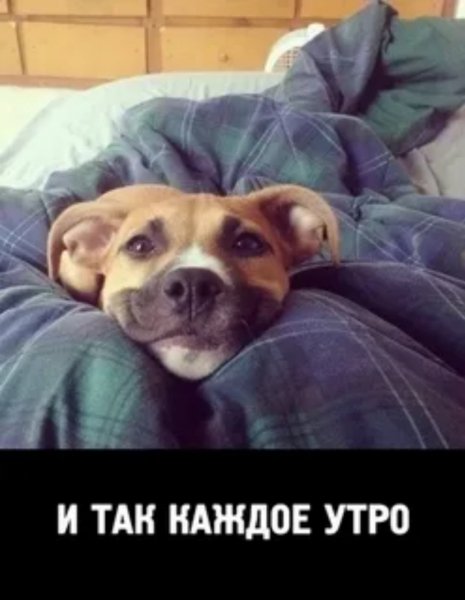 ))))))