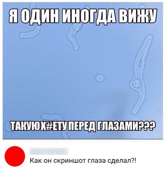 f4oYI4LlFmA