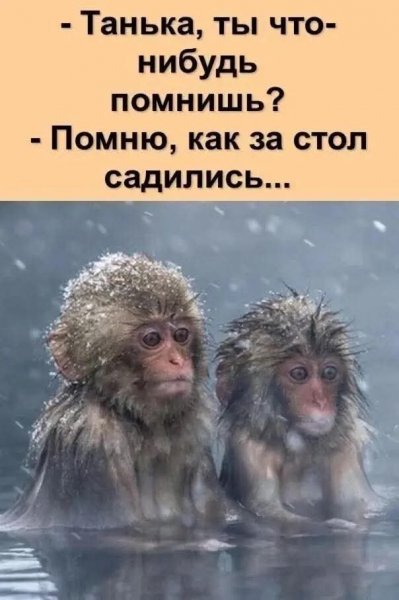 FB IMG 1768134448314