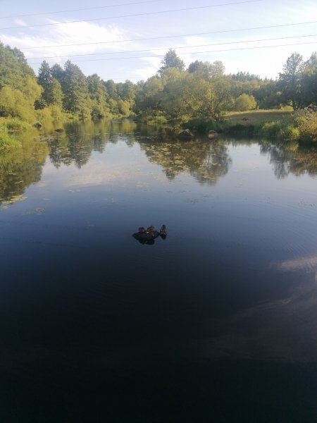 IMG 20240706 184840