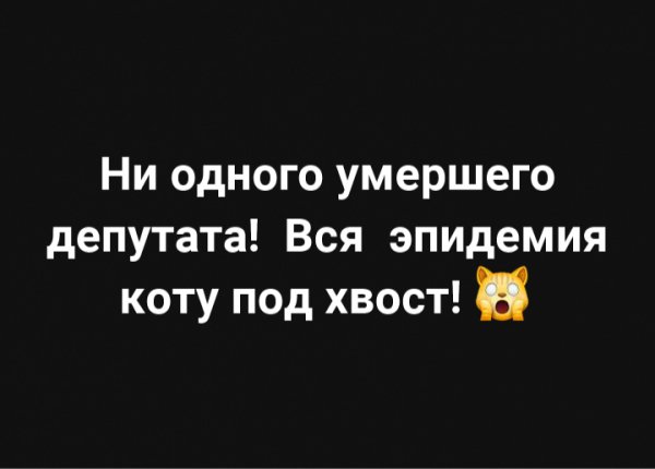 Коту под хвост