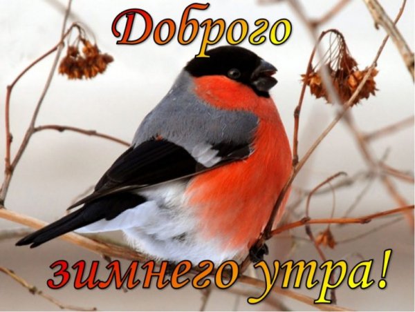 Всем!