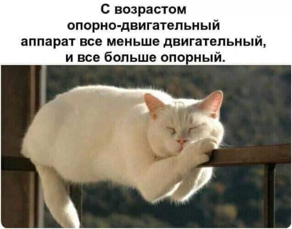 facebook 1623627991336 6809989378575070063