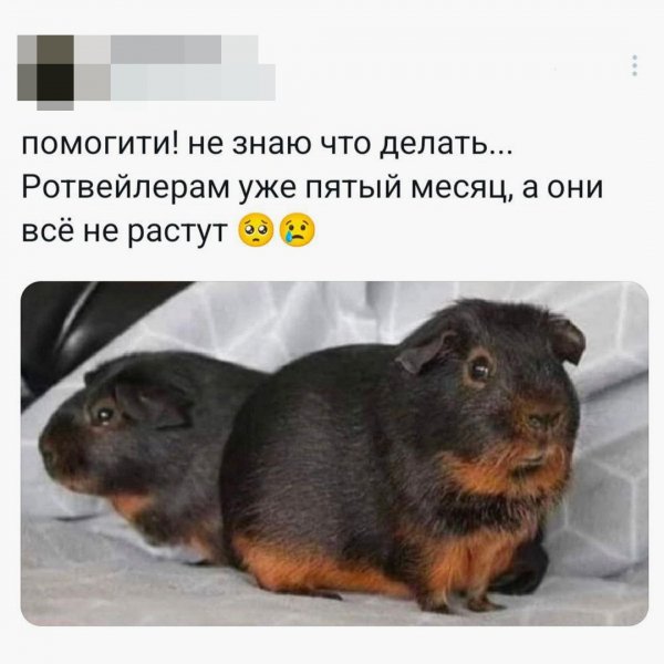 Omzsdetn2qTAeTHQnt5Kybesikrnmzl-6QWvDCtYs64EWLA4Kp9k32DSNaKi