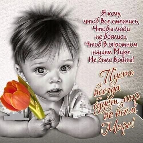 FB IMG 15573831303417725