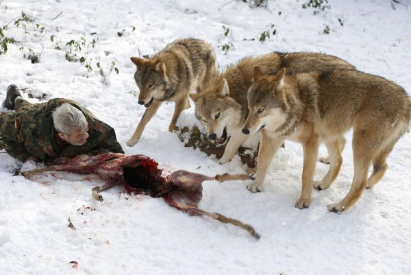 Совместная трапеза