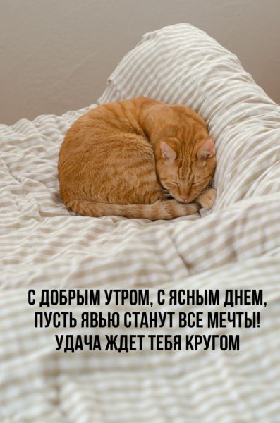 С добрым утром