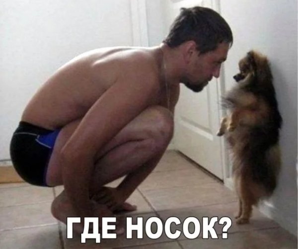 Kogda-tekst-i-kartinki-govorjat-sami-za-sebja-29