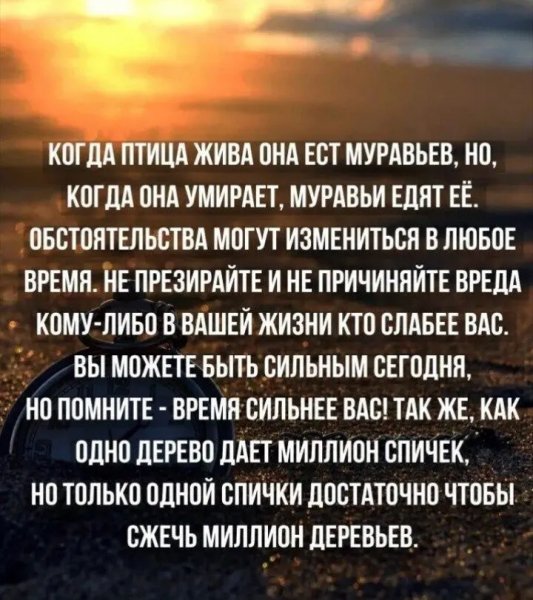 IMG 20250716 081311
