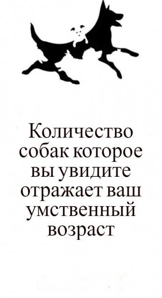 IMG 20230324 155033