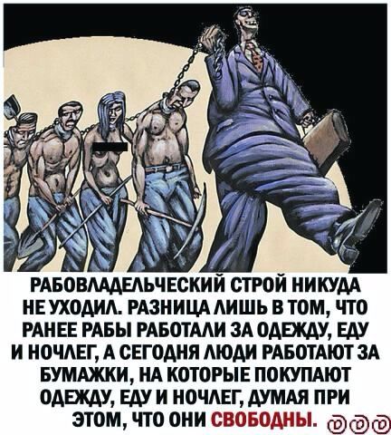(4) 5867 0239