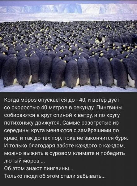 Законы жизни