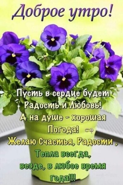 IMG-20210214-WA0007