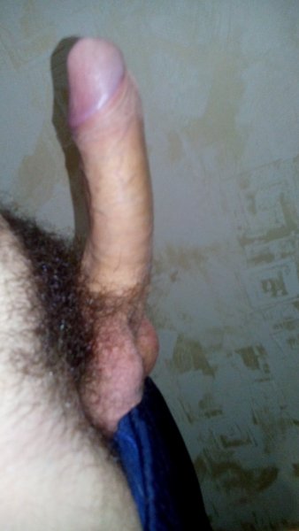 DSC 0179